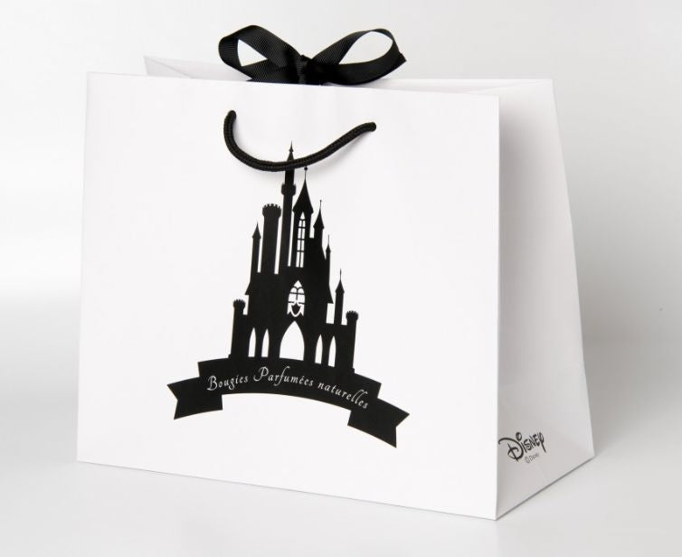Sac Cadeau - Taille S Sac Cadeaux Disney Shop | Anylem Beauty 